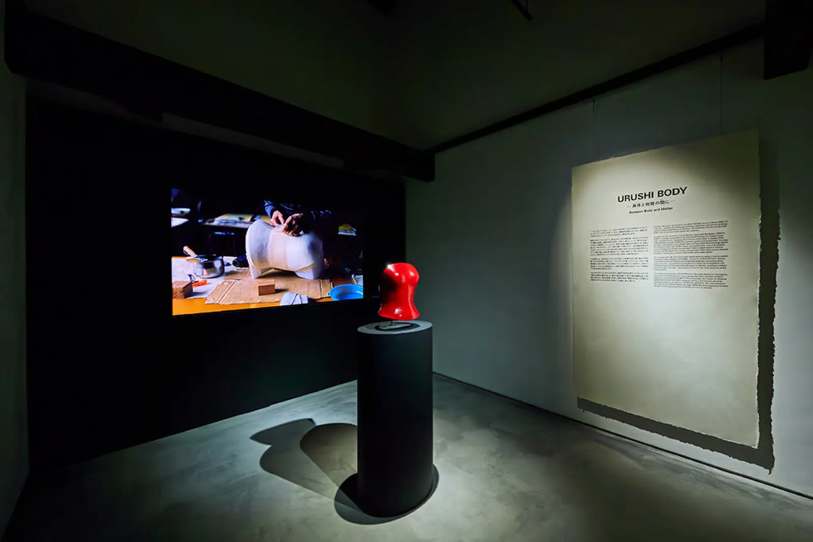 Kyoto KURA exhibition. Process film beside a red shell.