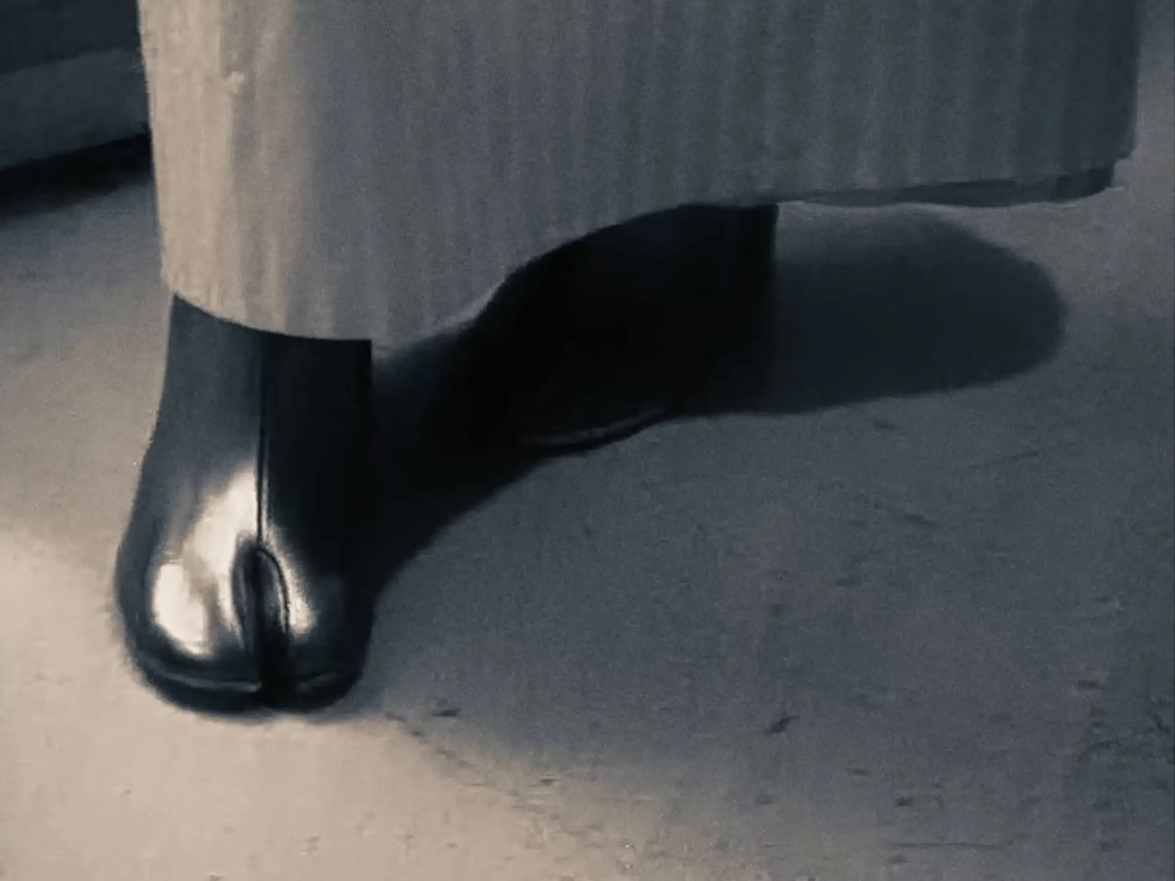 A black Tabi on the move, from the archive footage in the house film.